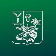 Администрация Базарно-Карабулакского района