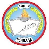 "Лицей г. Рошаль" муниципальный округ Шатура