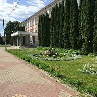 МКОУ "Тёткинская СОШ №1"