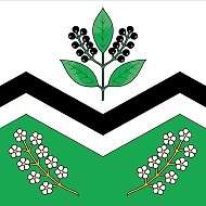 Администрация р. п. Мошково