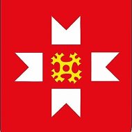 Можгинский район
