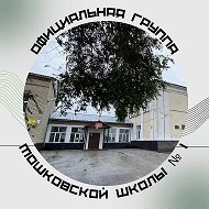 МКОУ Мошковская СОШ N1