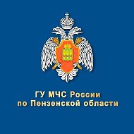 МЧС Пензенской области
