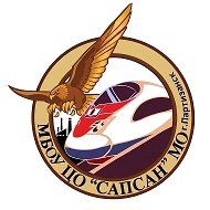 МБОУ ЦО " Сапсан" МО г. Партизанск