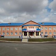 МОУ "Балканская СОШ им.П.И.Сумина"