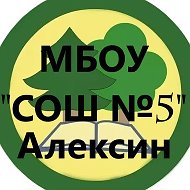 МБОУ "Средняя общеобразовательная школа №5" г. Алексин