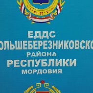МКУ "ЕДДС Большеберезниковского муниципального района РМ"