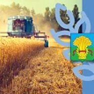 Администрация муниципального образования Каменский район