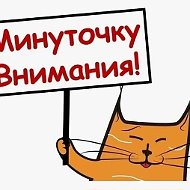 19 Ручеек