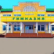МБОУ Зубово-Полянская гимназия