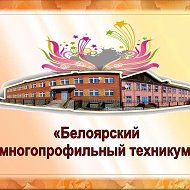ГАПОУ СО "Белоярский многопрофильный техникум"