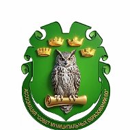 СМО Воронежской области