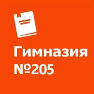 Гимназия №205