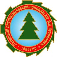 ГАПОУ СО "ТЛК им. Н.И. Кузнецова"