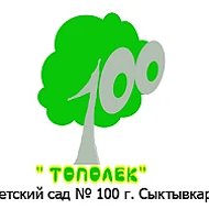 МАДОУ «Детский сад N 100” г.Сыктывкара