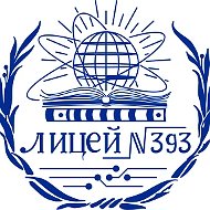 Лицей 393