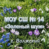 МОУ СШ № 14 «Зеленый шум»