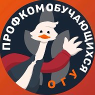 Профсоюзная организация обучающихся ОГУ