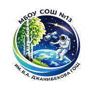 МБОУ СОШ №13 им. В.А. Джанибекова ГОЩ