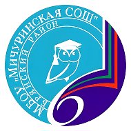 Мичуринская СОШ | Учимся вместе