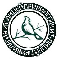 Официальный канал - МАОУ "ИТ-лицей Привилегия г. Челябинска"