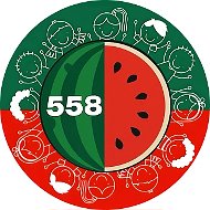 Информационный канал ГБОУ школы № 558