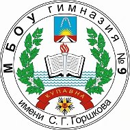 Гимназия №9, Балашиха.