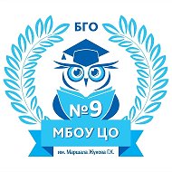 Центр образования № 9, Богородский городской округ