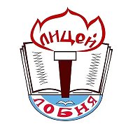 Лицей г. о. Лобня