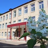 МБОУ Наро-Фоминская школа для обучающихся с ОВЗ