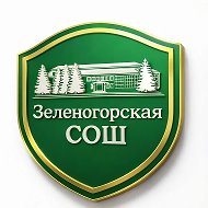 МБОУ «Зеленогорская средняя общеобразовательная школа»