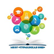 МКОУ "ТУРМАНСКАЯ СОШ"
