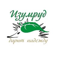 ГАУСО СО "КЦСОН "Изумруд" города Кировграда"