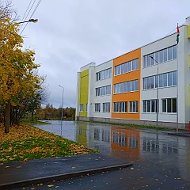МБОУ Ново-Ольховская СОШ