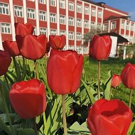 Школа № 5, Орехово-Зуевский городской округ