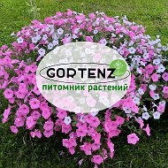 "GORTENZ🌱"питомник растений в Копорье