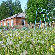 МКДОУ Дмитрошурский детский сад