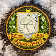 Лицей №65 (г. Воронеж)