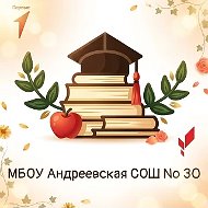 МБОУ Андреевская СОШ № 30