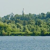 МКУ "ТУ Софьино-Чулково"