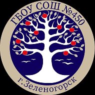 ГБОУ СОШ № 450 Курортного района Санкт-Петербурга