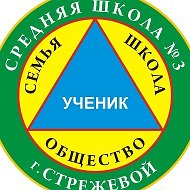 Муниципальное общеобразовательное учреждение "Средняя школа N3 городского округа Стрежевой имени Героя Российской Федерации Н.И. Данильченко"