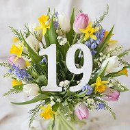 МАОУ "СОШ № 19" г. Череповец