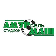 Стадион "Амурсельмаш", центр тестирования ГТО. Белогорск
