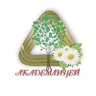 Академический лицей им. Г. А. Псахье г. Томска