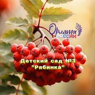 МКДОУ №3 д/с "Рябинка" п. Бисерть