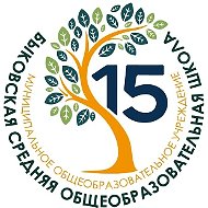 Быковская школа № 15, Раменское