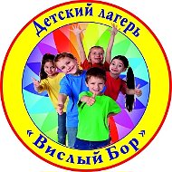 МБОУ ДО "ДЛ Вислый Бор" Моршанский МО