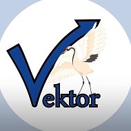 ГБОУ Школа № 1354 "Вектор"