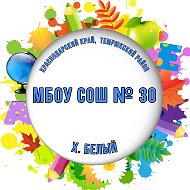 МБОУ СОШ № 30, хутор Белый Темрюкский район